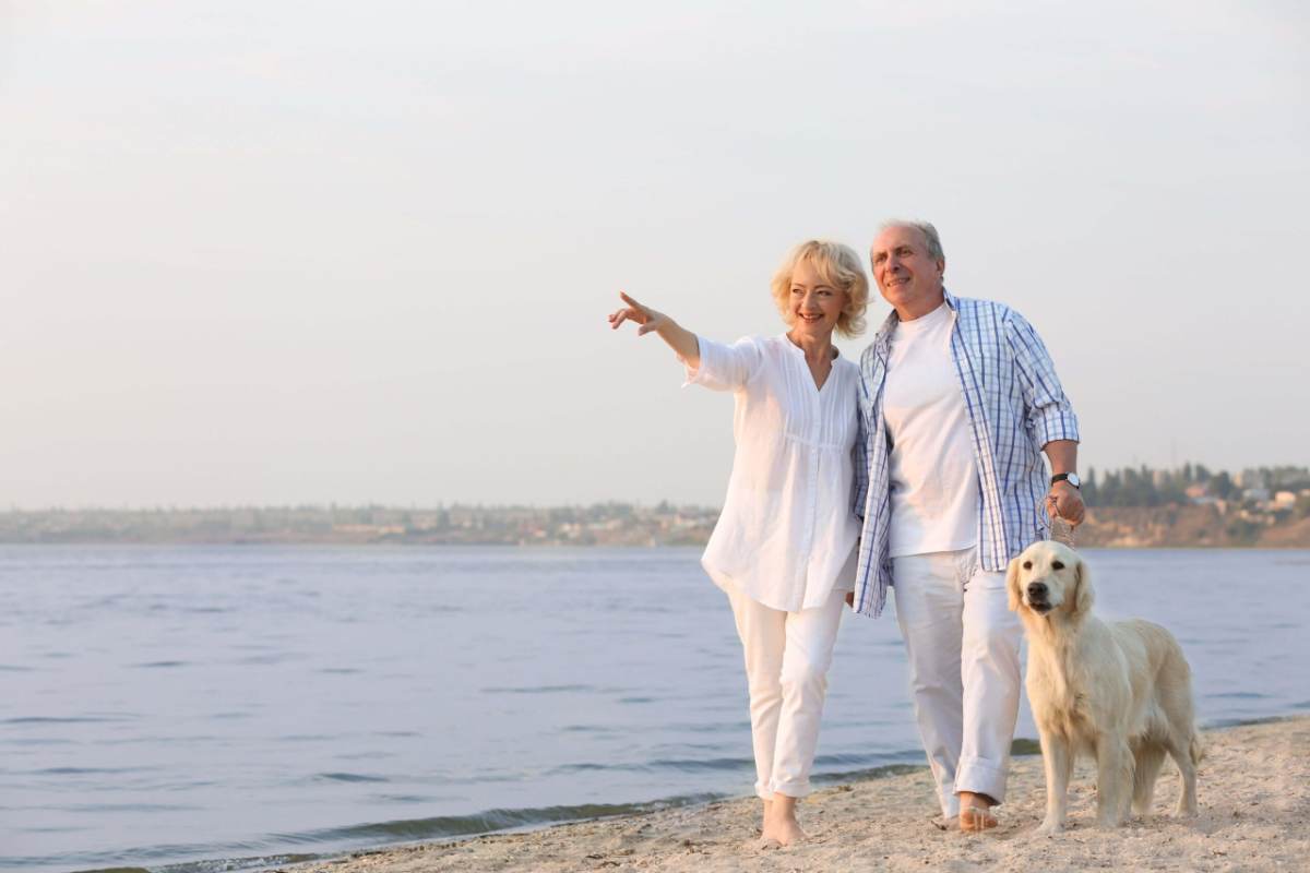 Estate Planning Attorney